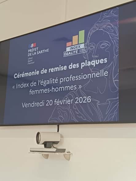 Index de l'égalité professionnelle femmes-hommes